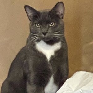 Meet your Posher, Janet